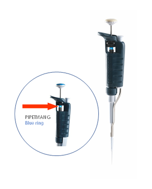 Pipetman G - Gilson Pipette 길슨 피펫, Low Pipetting Forces, 공기치환식 피펫, Single/KIT [F144054M/F144055M/F144056M/F144057M/F144058M/F144059M/F144066/F144067/F167900/F167800/F167360]