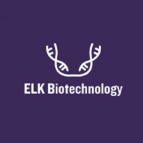 [ELK Biotechnology] Scondary antibody