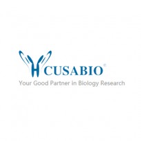 [Cusabio] Exosome Isolation Kits