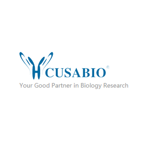 [Cusabio] ChIP-grade Antibodies