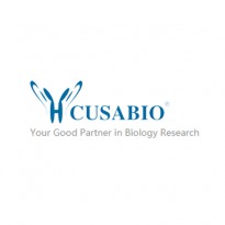 [Cusabio] Custom Antibodies