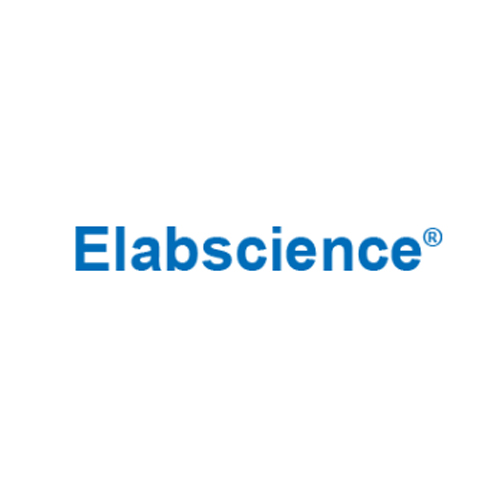 [Elabscience] Mouse