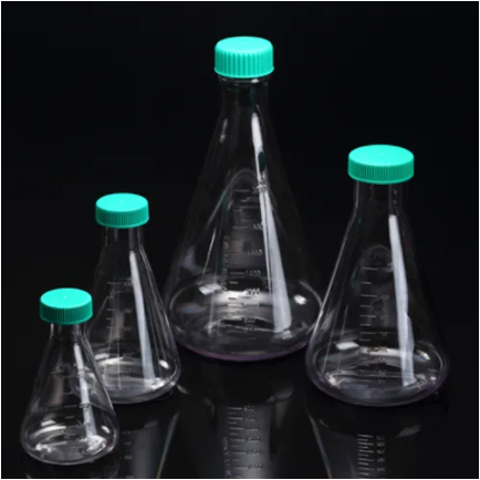 Erlenmeyer Flask