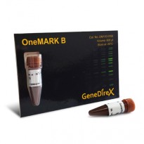 [DM110-0100] BH OneMARK B RTU