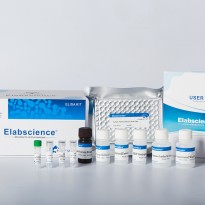 [E-EL-H0439] Human TTN(Titin) ELISA Kit