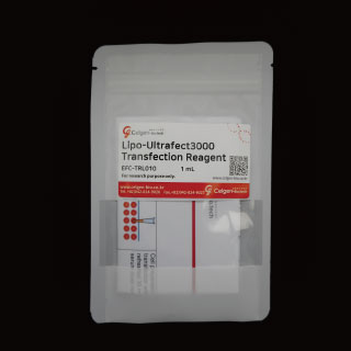 [EFC-TRL010] Lipo-Ultrafect3000 Transfection Reagent