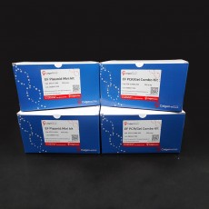 [EFD-PMI-25] EF Plasmid Midi kit