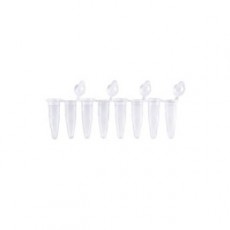 [EFP-ICF200] Standard PCR 8‐Strip Tube with Attached Flat Cap