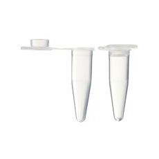 [EFP-P200-1000/EFP-P200-3000] Standard PCR Tubes with Flat Cap