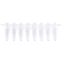 [EFP-SCD200] Standard PCR 8-Strip Tube & Separate Domed Cap