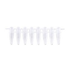 [EFP-SCD200] Standard PCR 8-Strip Tube & Separate Domed Cap