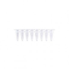 [EFP-SCF200] Standard PCR 8‐Strip Tube & Separate Flat Cap