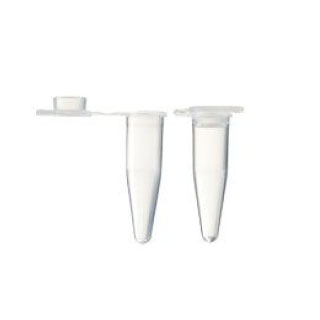 [MB-P02] 0.2ml PCR Tubes with Flat Cap