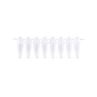 [MB-P08D] 0.2ml PCR 8-Strip Tube & Separate Domed Cap
