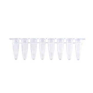 [MB-Q200] 0.2ml qPCR 8-Strip Tubes (With Optical Caps)