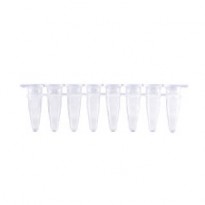 [MB-Q200] 0.2ml qPCR 8-Strip Tubes (With Optical Caps)