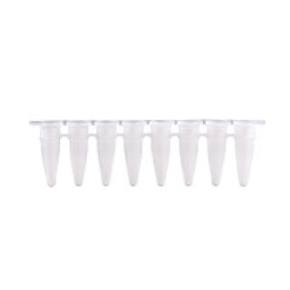 [MB-Q200W] 0.2ml qPCR 8-Strip White Tubes (With Optical Caps)